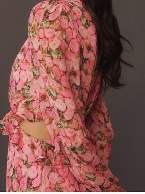 Anthropologie Endless Rose Floral Long Sleeve Ruffled Dress
